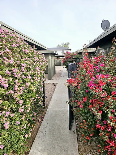 Aster Gardens Photo 1