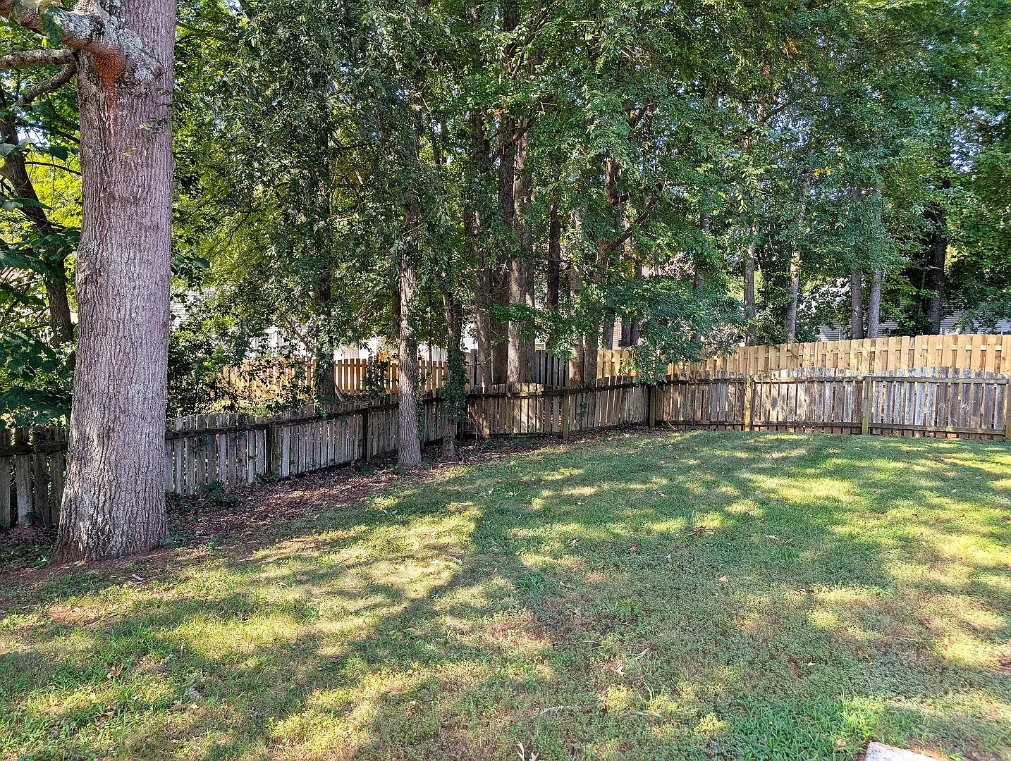 4 Bedroom! University Area! 100% Updated! — Photo 4