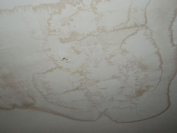 Additional Water damage