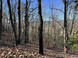 Shinbone Valley Rd, Menlo, GA 30731