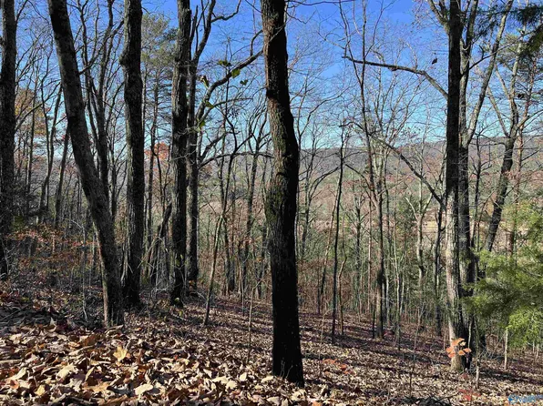 Shinbone Valley Rd, Menlo, GA 30731