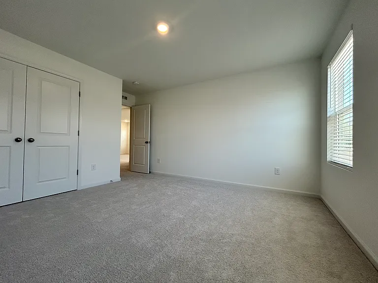 709 Painted Daisy Ln — Photo 28