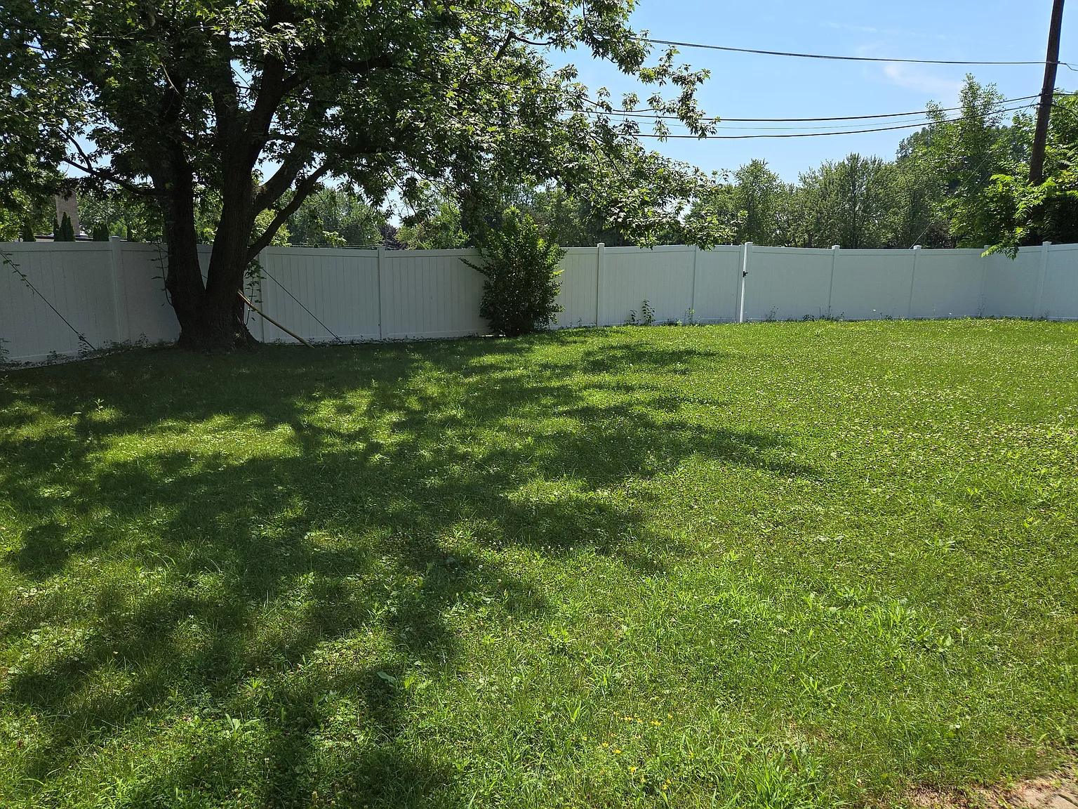 635 Cumberland Street - 1 — Photo 3
