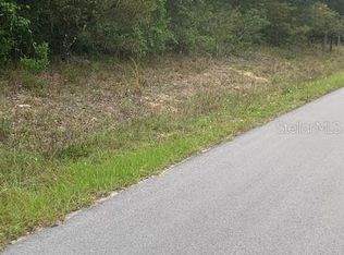 7266 Norman St, Webster, FL 33597