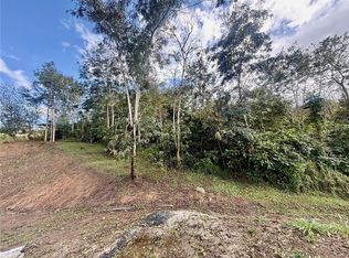 Bo Rincon Lomas, Cayey, PR 00736