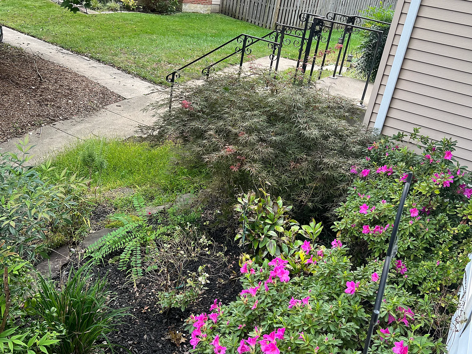 3 bed, 2196 sqft, $3,000 — Photo 3