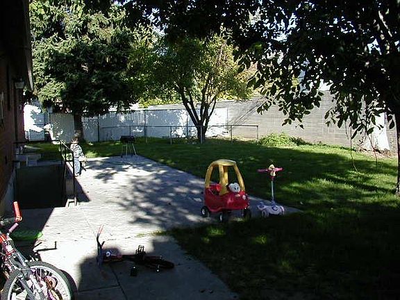 Back yard looking North