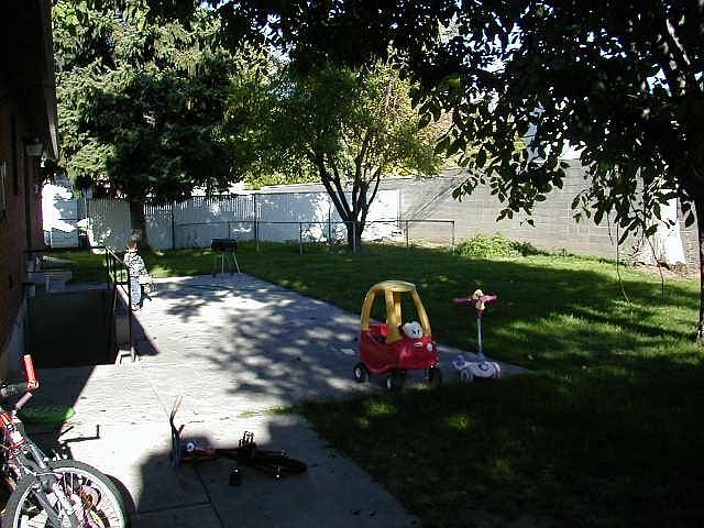 Back yard looking North