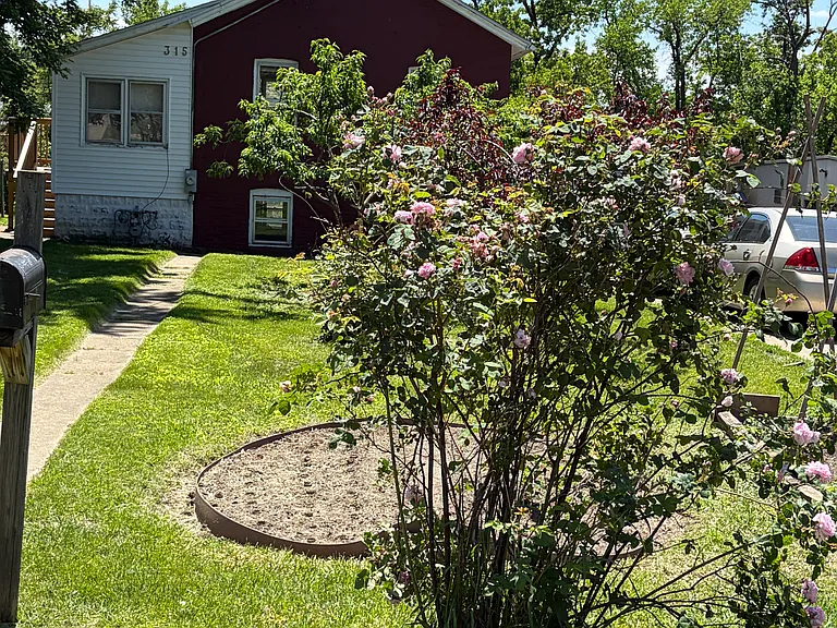315 Pierce St — Photo 3