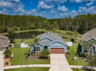 2879 Satilla Loop, Odessa, FL 33556