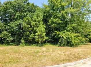 24907 Nelson Bridge Dr, Spring, TX 77389