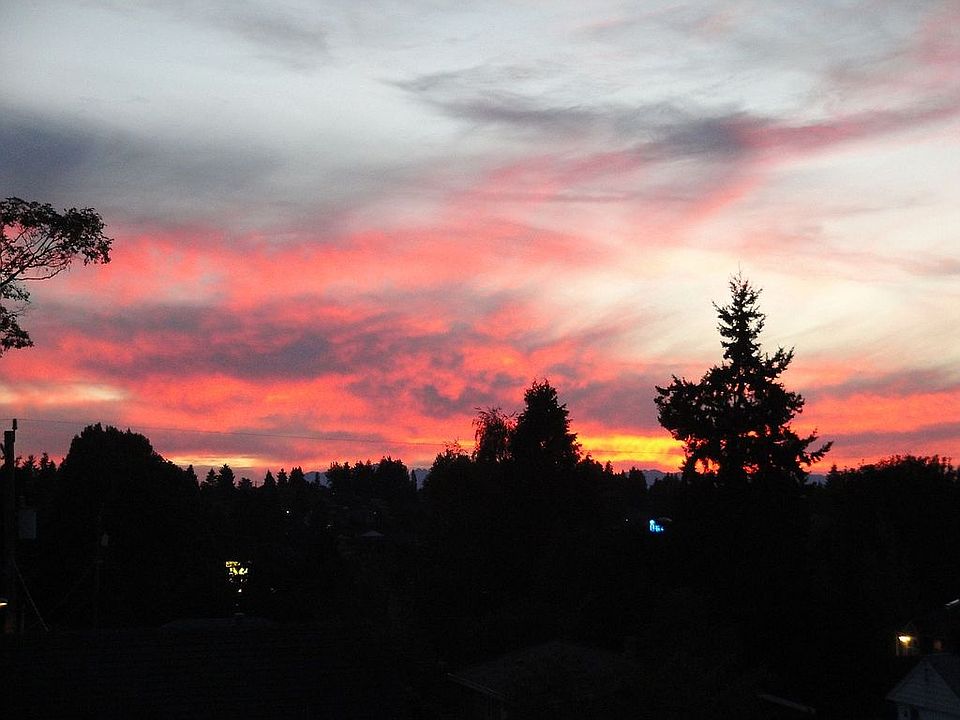 View from backyard