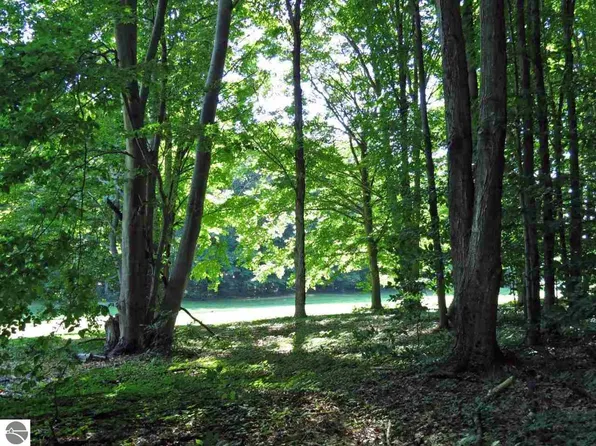 2 Mountain Woods Ct Unit 0, Thompsonville, MI 49683