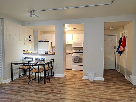 Big Living room with a view of the kitchen, apartment entrance door on the right and jackets closet.