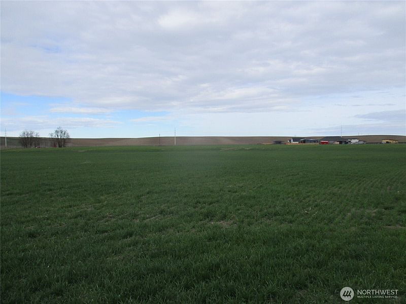 2nd image of 0 Bunchgrass Lane