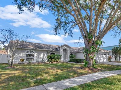 1414 Monte Lake Dr, Valrico, FL, 33596