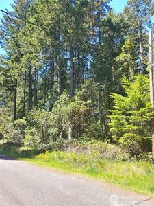 10101 /10019 129th Drive, Anderson Island, WA, 98303