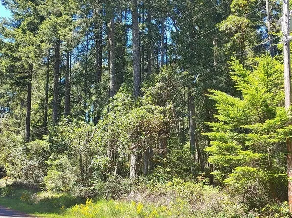 10101 /10019 129th Drive, Anderson Island, WA 98303