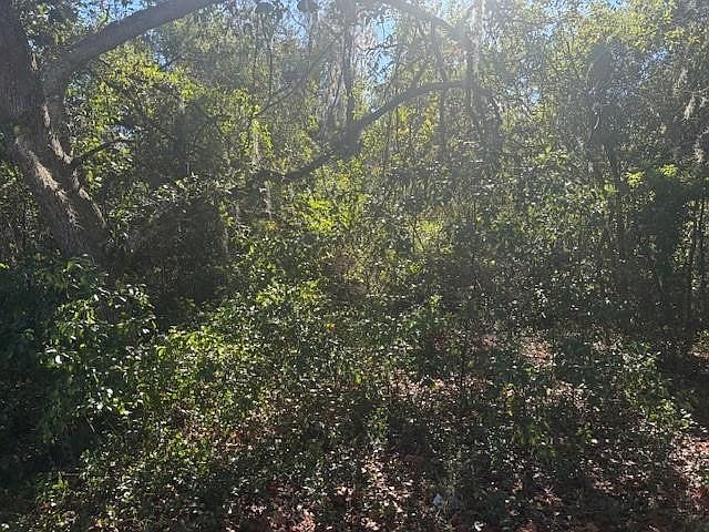 2nd image of 0 SE 157th Street