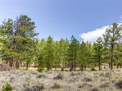 5077 County Road 328, Westcliffe, CO, 81252
