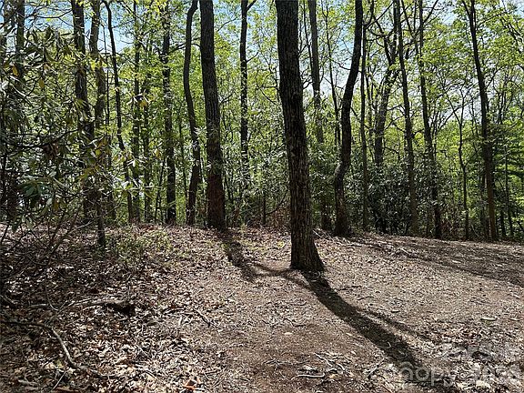 5th image of 0 John Delk Rd #2&6