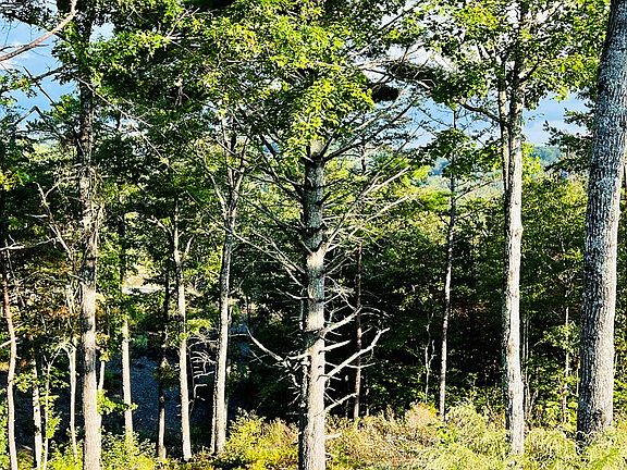 3rd image of LOT 17 Mountain Laurel Dr