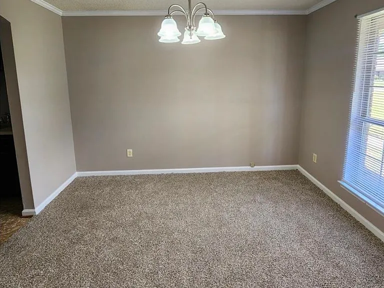 2411 Fernando Ct — Photo 6