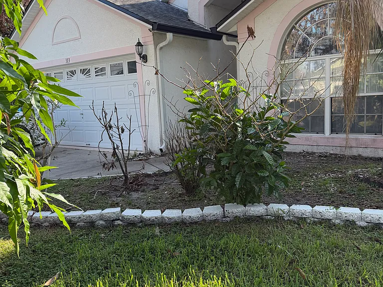 313 Seville Pointe Ave — Photo 13