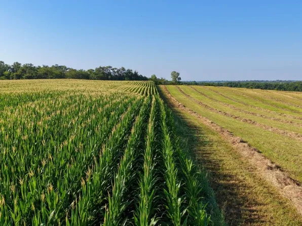 Terrace Avenue & 318th St, Rippey, IA 50235