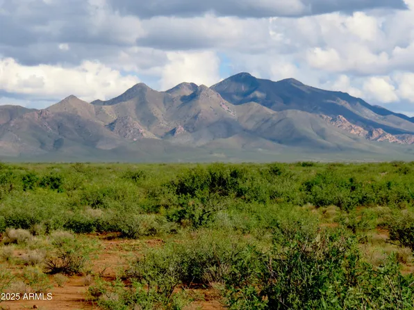 TBD W Austin Henely Road #9, Elfrida, AZ 85610