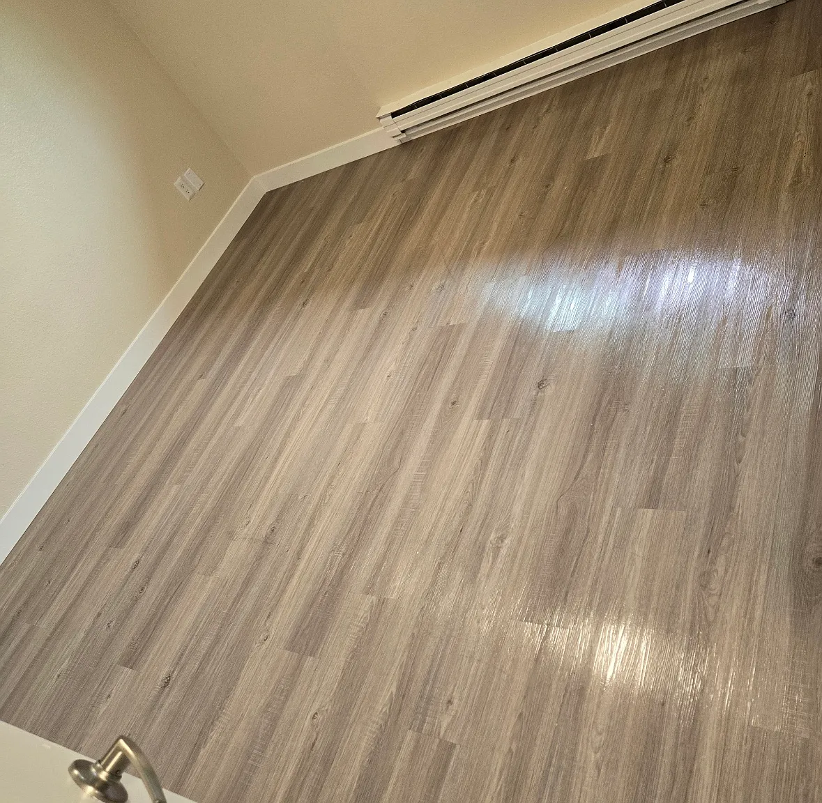 1 bed, 550 sqft, $1,575 — Photo 4