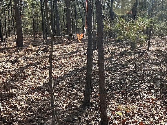 4th image of 1 Johns Valley Rd