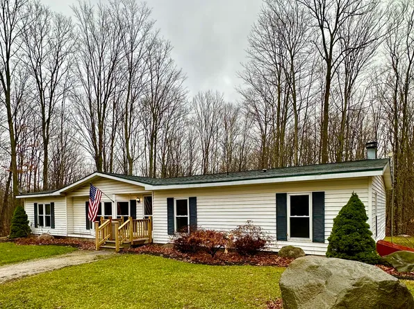 16651 Jakes Rd, Lachine, MI 49753