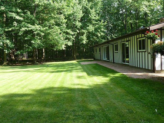 Backyard woods 