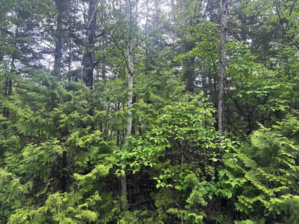 Doyle Dr, Presque Isle, MI 49777