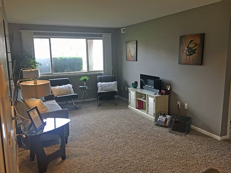 Large living room with grey walls, tan carpet and a large picture window.