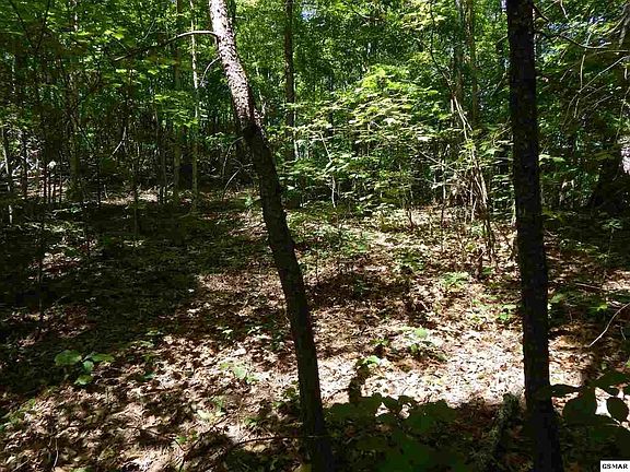 3rd image of 53 Pea Hollow Rd