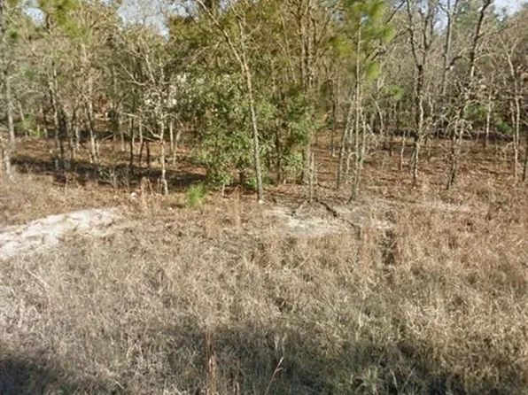 NE 149th Ct Lot 25, Williston, FL 32696