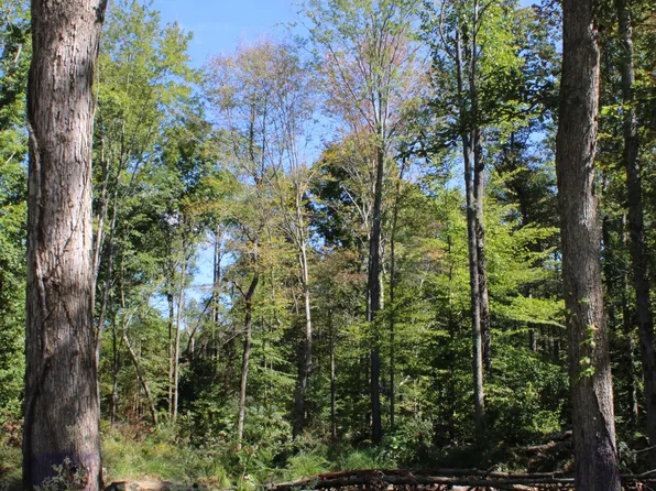 TRACT 10 7530 W Private Rd #775, Commiskey, IN 47227