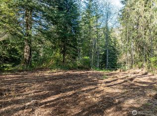 0 Davis Lake Road, Morton, WA 98356