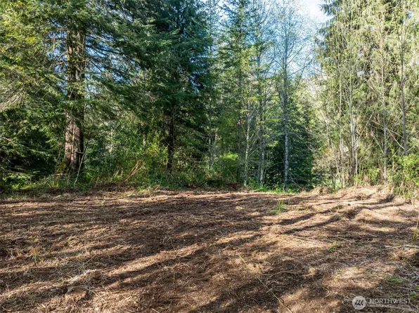 0 Davis Lake Road, Morton, WA 98356