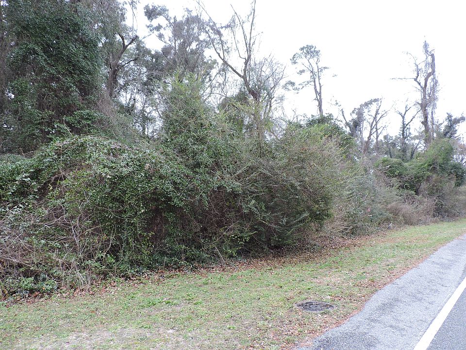 2nd image of Tract B Mineola Ave
