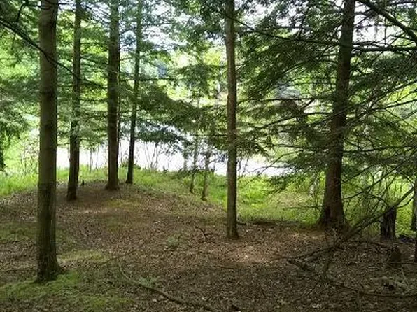 9813 Miramichi Dr, Evart, MI 49631