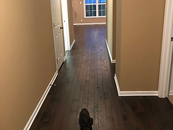 Front Hallway