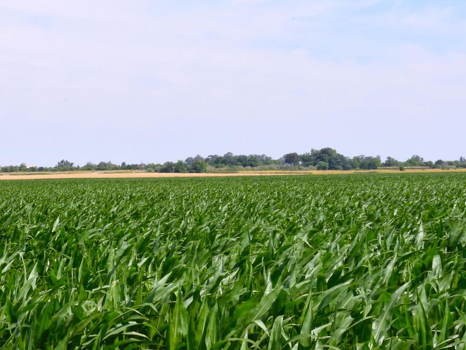 1st image of 16071 Tyler Island Rd