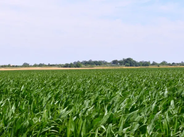 16071 Tyler Island Rd, Isleton, CA 95641