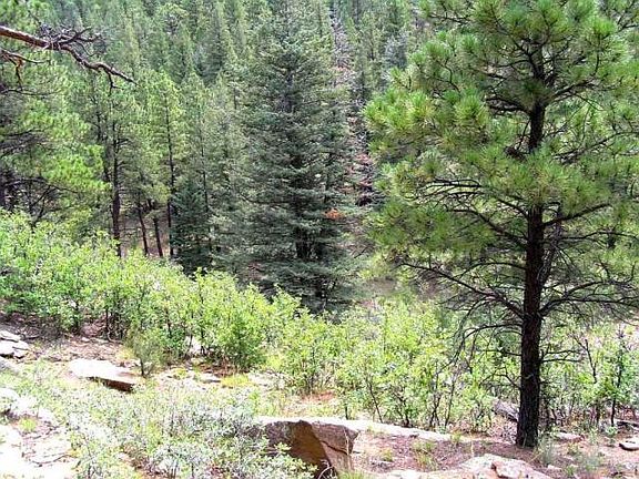 3rd image of North Fork Properties Lot 19