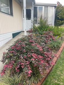 314 Janero Place, Sonoma, CA, 95476