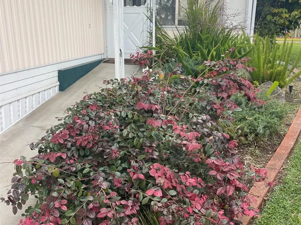 314 Janero Place, Sonoma, CA 95476