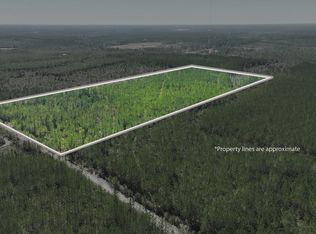 21 Gun Metal Rd #A, Millwood, GA 31552